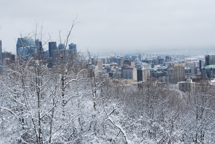 Montréal en bref — Montréal